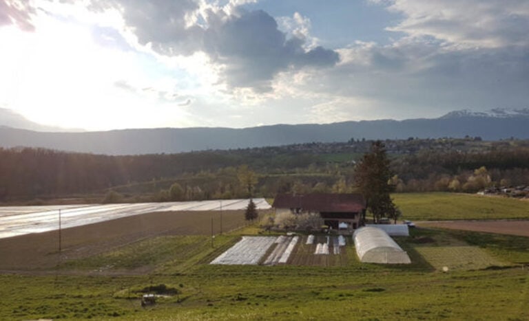 Avully la ferme du sonneur 768x467