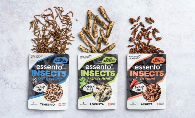 Essento Insect Food 768x467