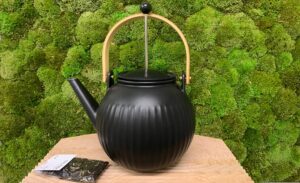 Bodum Teapot