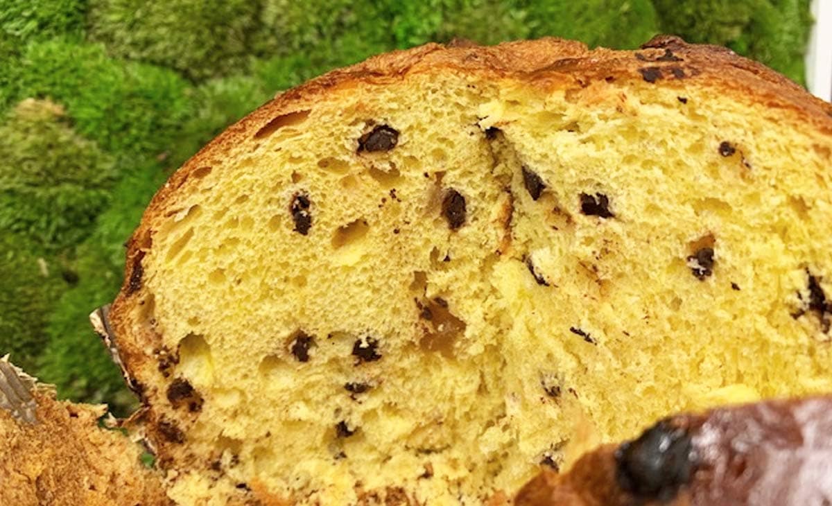 Premium Chocolate Panettone Handgemacht