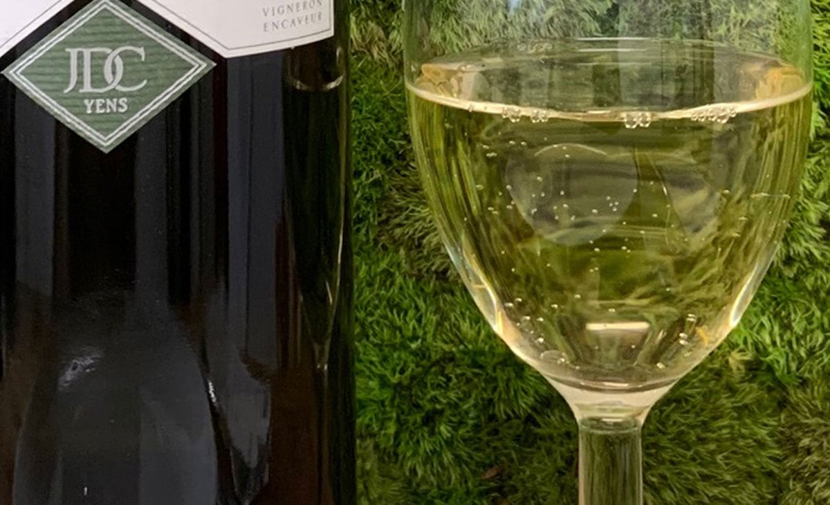 White Wine Chasselas from Cave Jean-Daniel Coeytaux