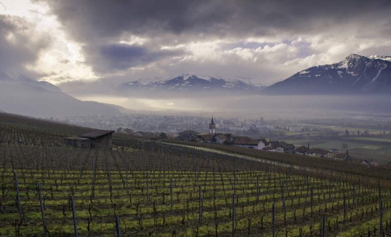 Domaine de l'Ovaille