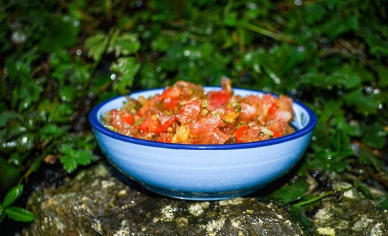 Scotty Fresh Salsa 768x467