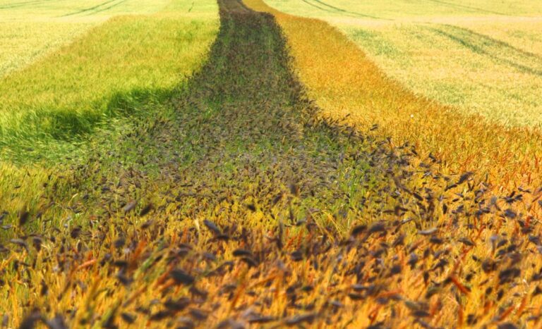 La Ferme Arc en Ciel